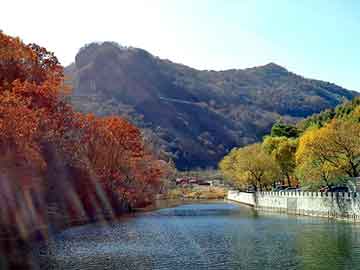 管家婆黑白马报图库，黄山毛峰1875